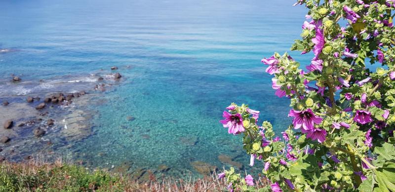 Romantica sul Mare a Castelsardo - Magico Appartamento