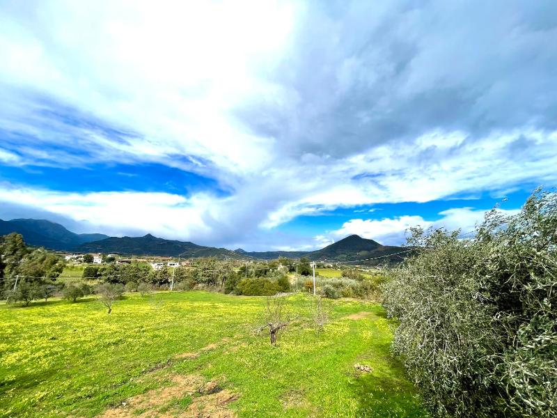 Green House a Cardedu - Appartamento Vista Montagna