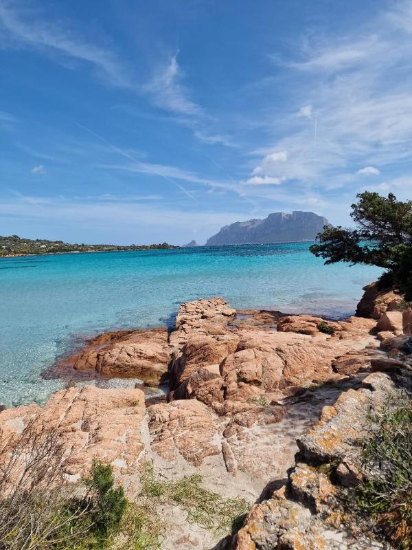 Le Viole a Olbia - Spazioso appartamento con terrazza