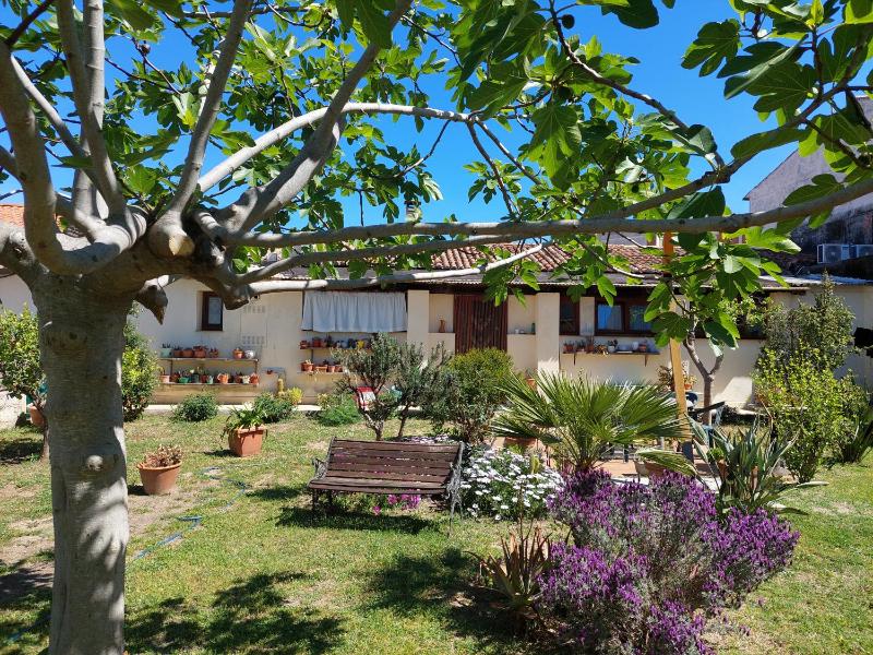 Garden rooms a Olbia - Accogliente B&B con giardino