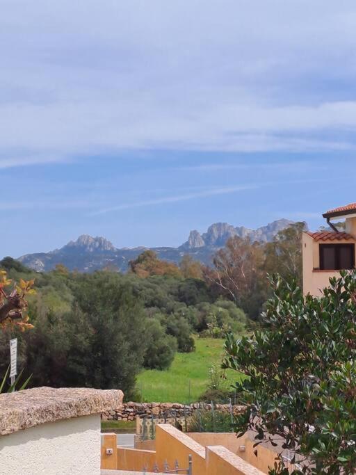 Nido d'Amore ad Arzachena - Romantico con giardino