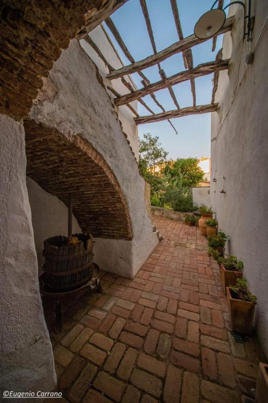 B&B Corte San Lussorio a Oliena - Charme tradizionale