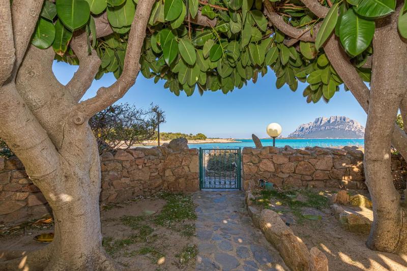 Piazzetta Villa Roxy a Porto San Paolo - Lussuosa villa fronte mare