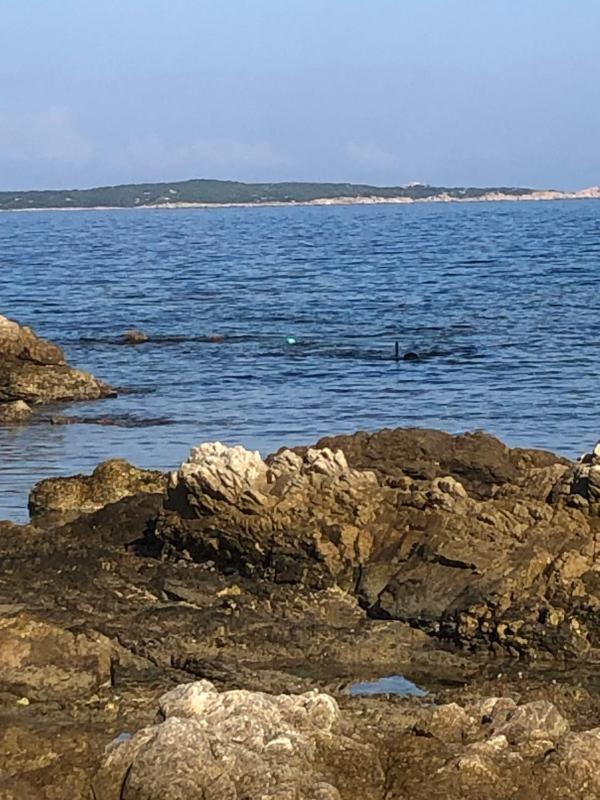Lussuosa suite fronte mare con piscina a Porto Rotondo