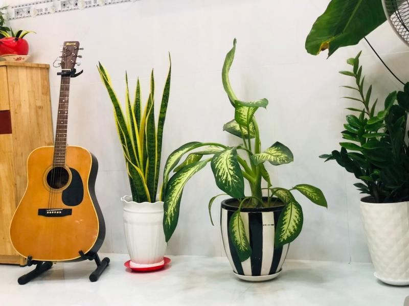 Cozy Suit In Quiet Residence With Free-parking — отель с удобствами в Нячанге