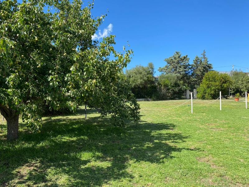 Zia Annina a Olbia - Appartamenti con giardino privato