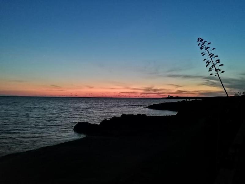 Belvedere Windsurf a Funtana Meiga - Casa Vista Mare