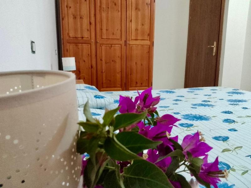 Agriturismo S'Aranada - Autentica esperienza rurale