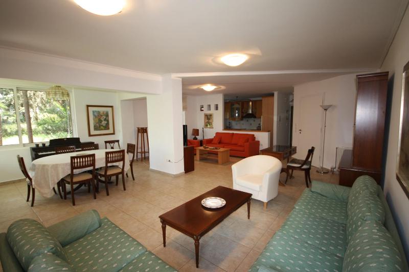 2 Bdr Park View Apt - 130m2 & Private Patio — отель с удобствами в Афины
