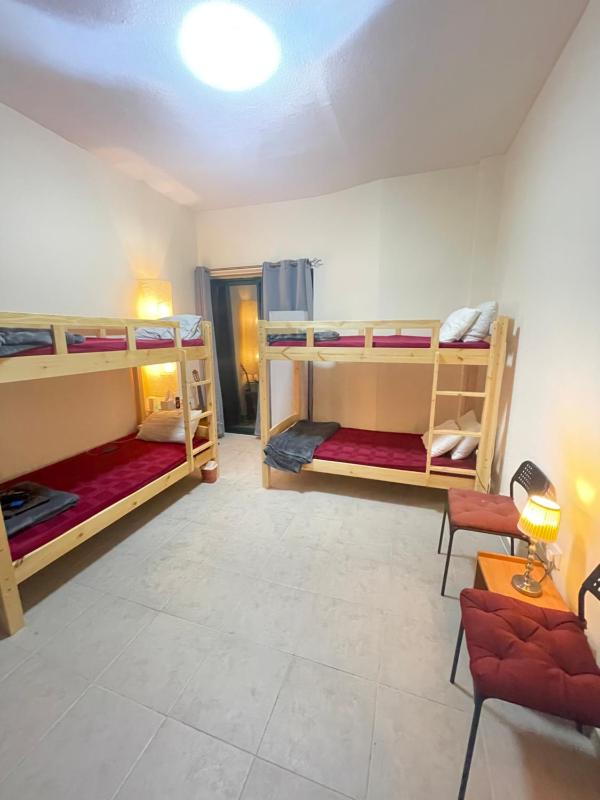 Цены на Backpackers Zone в Дубае
