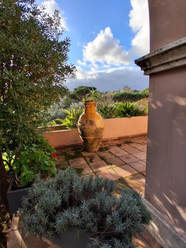 The Olive Grove Roma Guest House — отель с удобствами в Риме