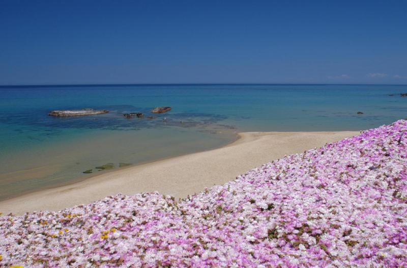 Hotel Residence Ampurias a Castelsardo - Incantevole fronte mare