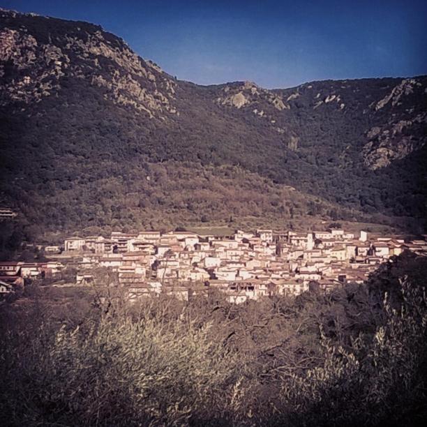 B&B Meddie a Tiana - Confortevole rifugio nel cuore sardo