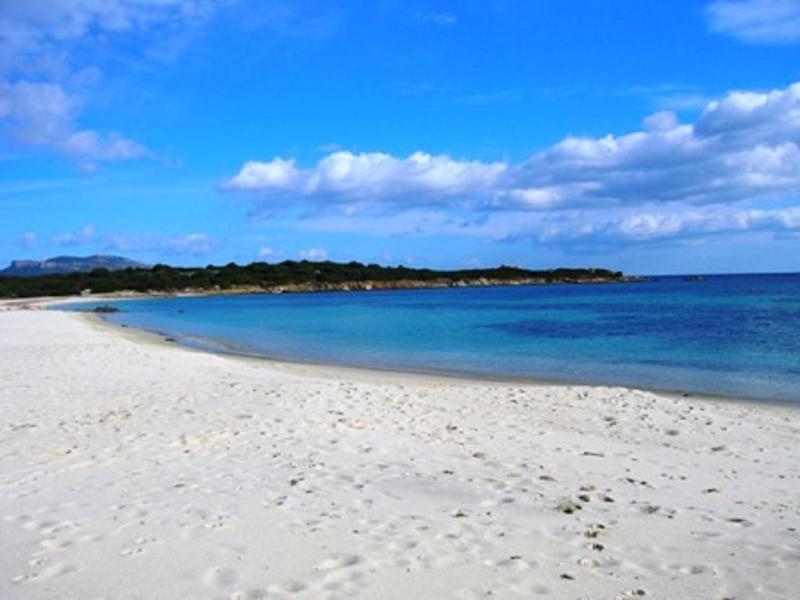 Villetta Caposchiera a Olbia - Oasi Vicino al Mare