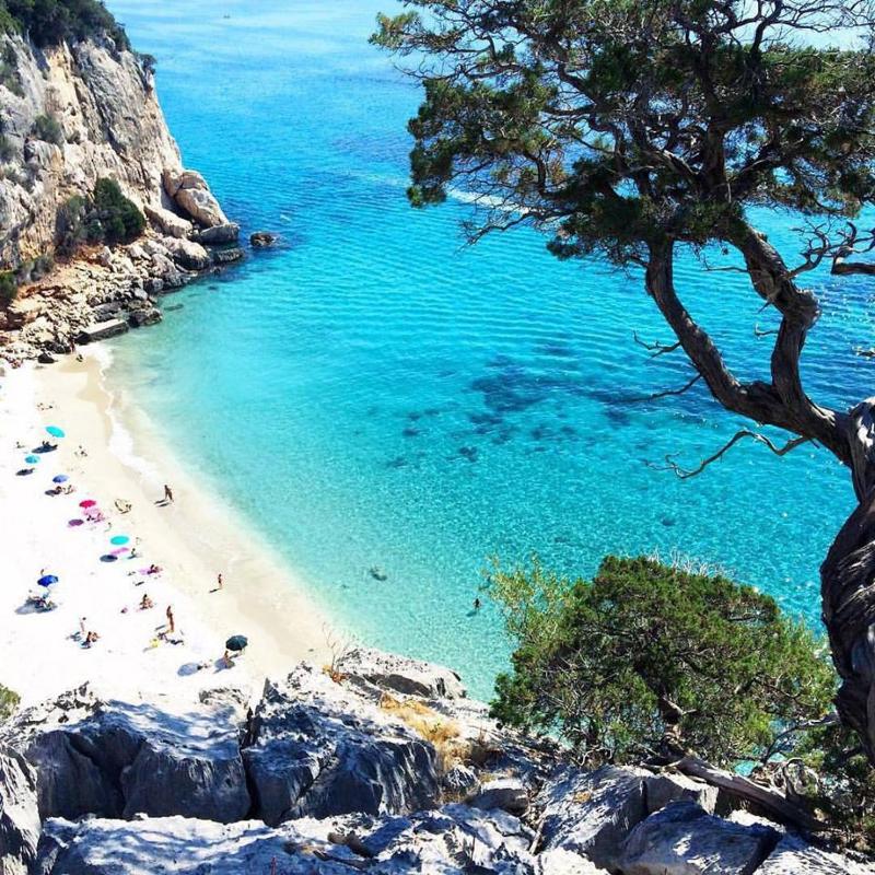 Berenice Vien Dal Mare a Santa Teresa - Appartamenti
