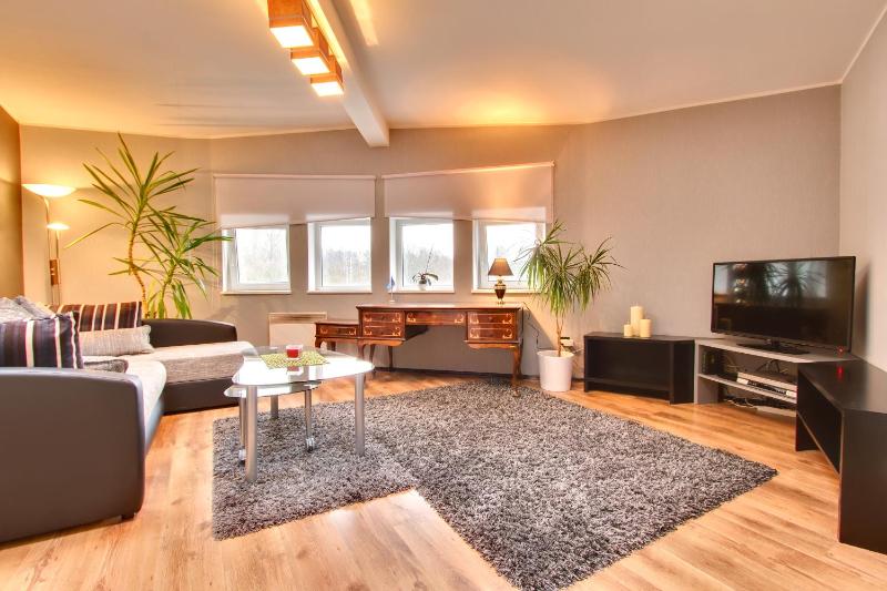 Toompuiestee Penthouse with Sauna — забронировать отель в таллине