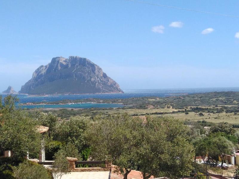 Holiday Homes a Porto San Paolo - Accogliente appartamento
