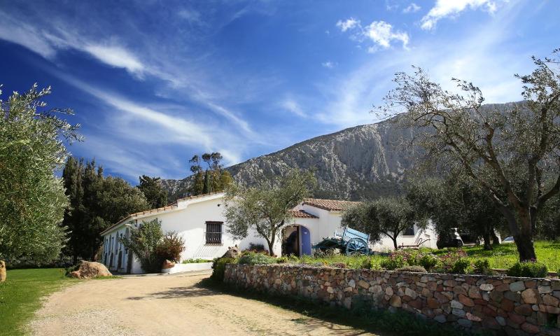 Guthiddai ad Oliena - Idilliaco agriturismo nel verde