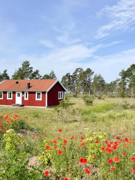 Nobel Cabins - Furillen