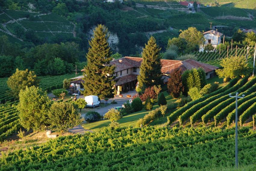 Vigneti in Ca' D'Gal