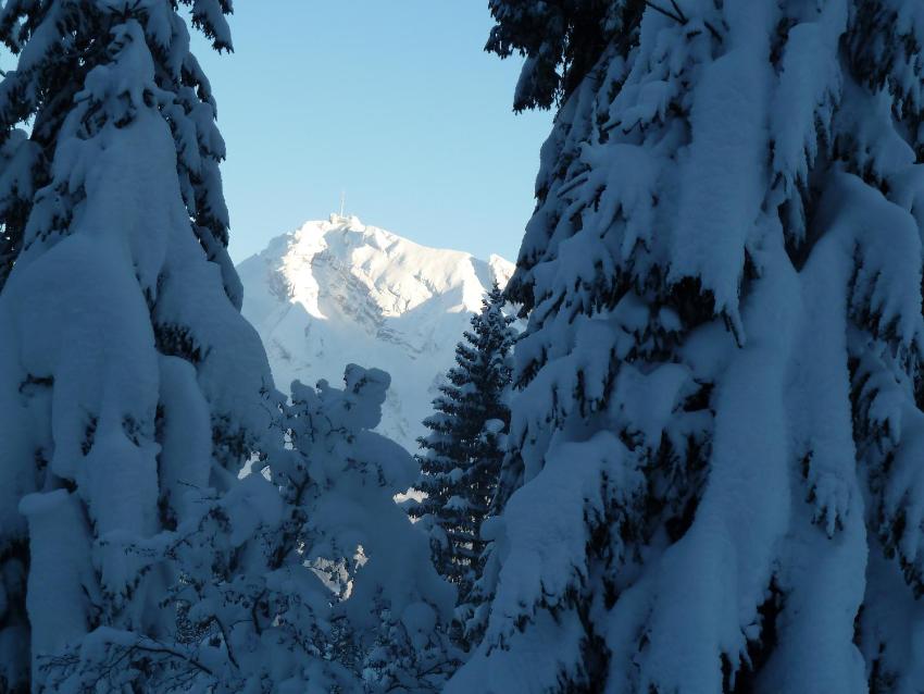 Alpstein das Gasthaus