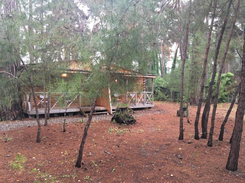 Cottages on Gosdacha