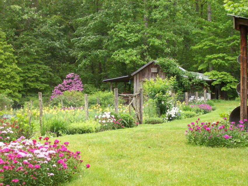 Garden of Eden Cabins