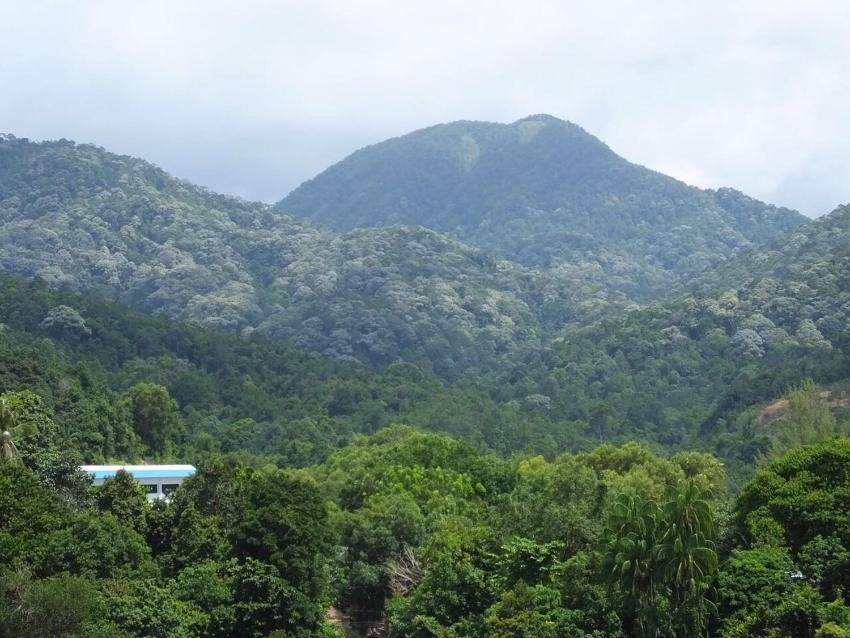 Ferringhi Luxury Suite @ By The Sea