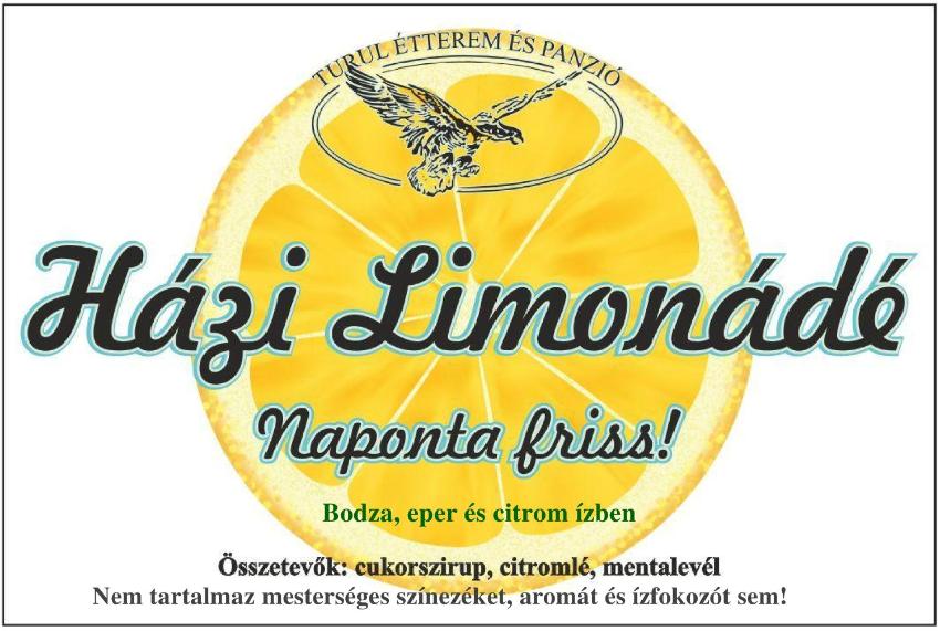 Turul Étterem és Panzió