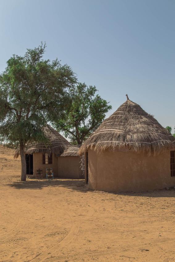 NotOnMap - Mud, Desert and Life