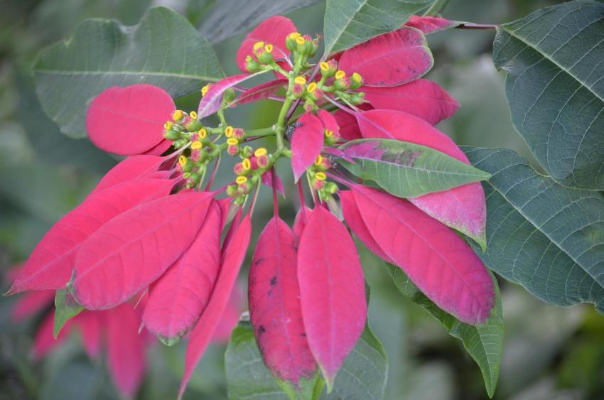 Tierra Alta Ecolodge