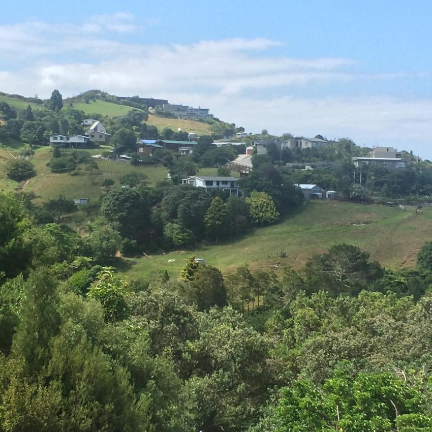 Hahei Sea Vista (2)