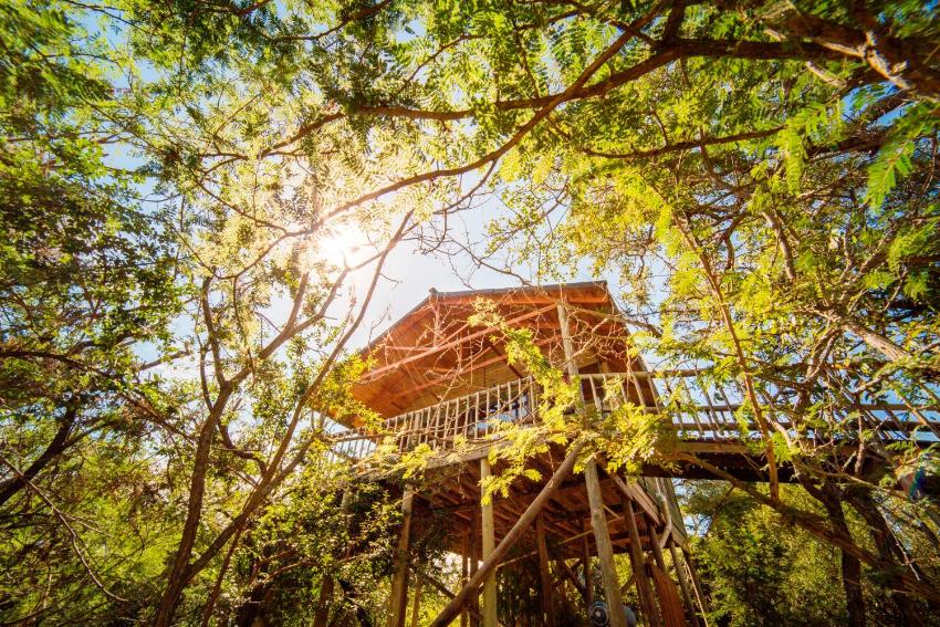 Pezulu Tree House Lodge