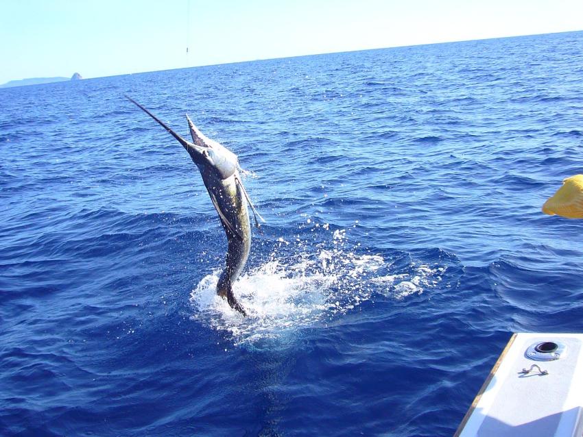 VILLA LUXE ET TRADITION à NOSY BE