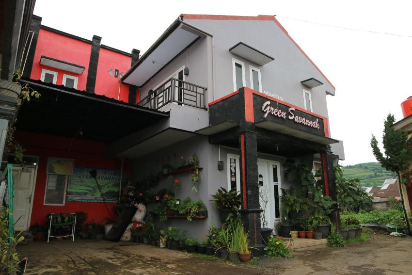 Green Savanah Homestay