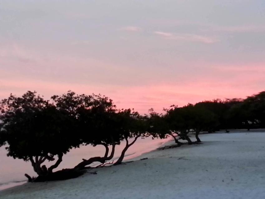Aruba Surfside Marina
