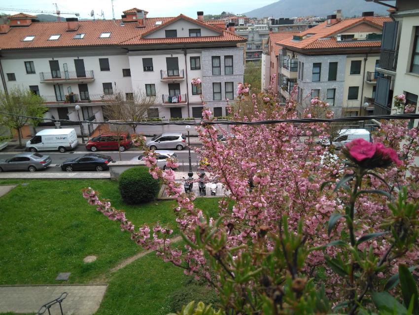 Apartamento Zurbarán