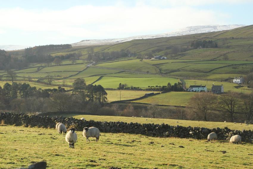 Alston Art Apartments