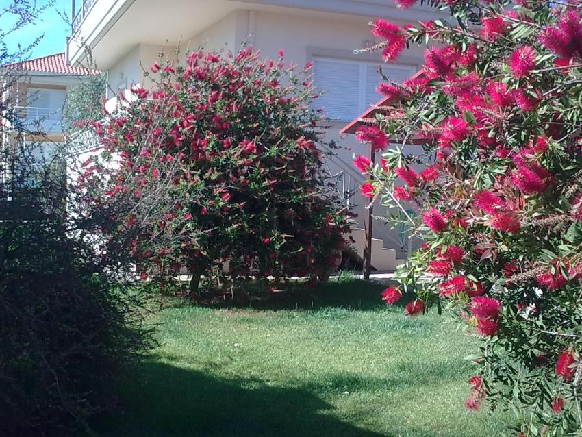 Anna's Villas by the Sea