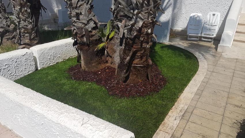 Appartamento Oleandri - Baia Verde