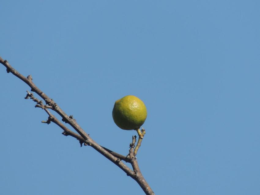 Pousada Sitio da Serra