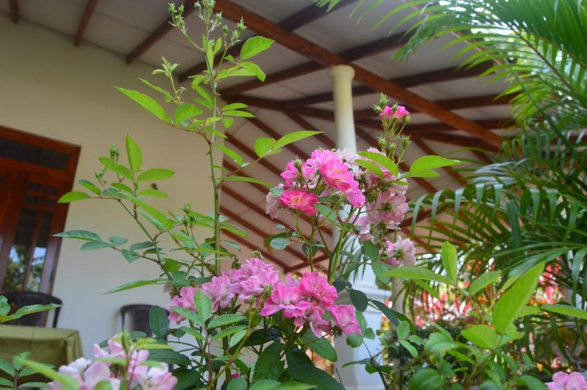 Sanda Sisila Guest House