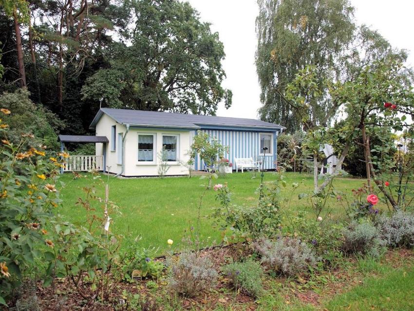 "Kleines Glück" (562-1)