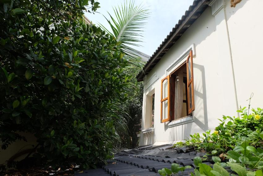 Moon house tropical garden - Lavender