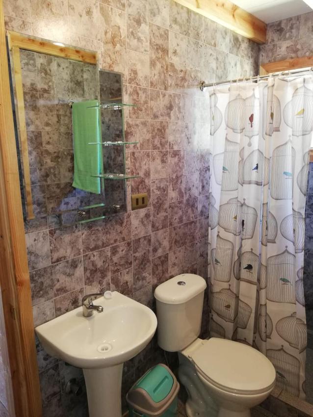 cabaña colico sur 1