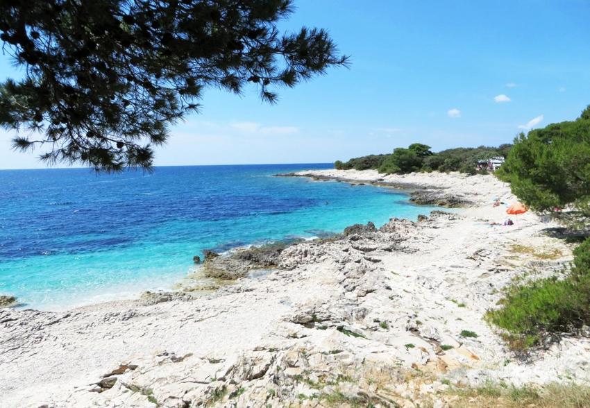 Apartments Oasis - 50 m from the sea