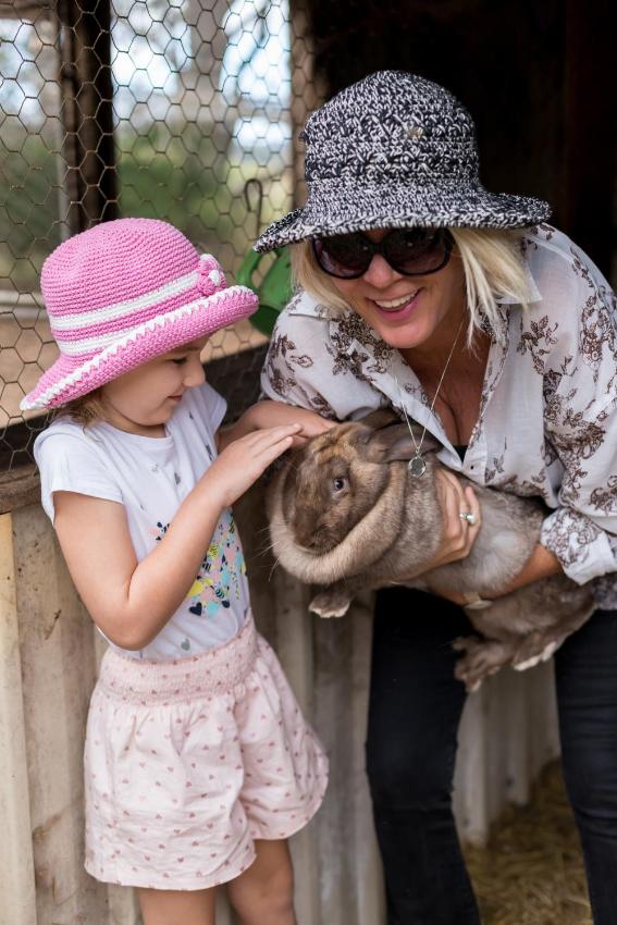 Misty Valley Country Cottages