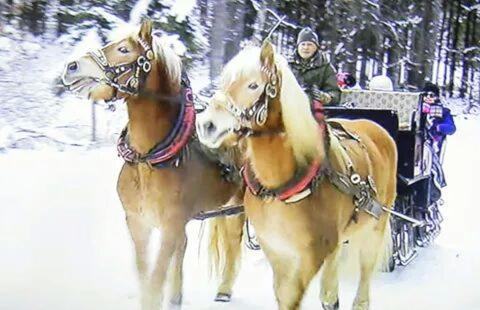 Agriturismo Prati Oitzinger