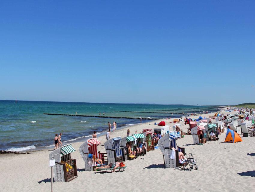 Ferienhaus Graal_Mueritz MOST 2351