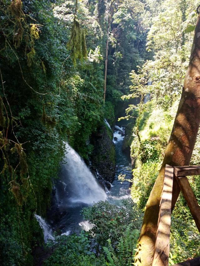 Shibui Garden Bungalows and Restaurant
